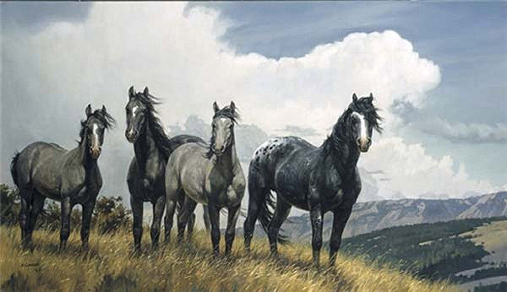 Amazing Grays IV by Nancy Glazier