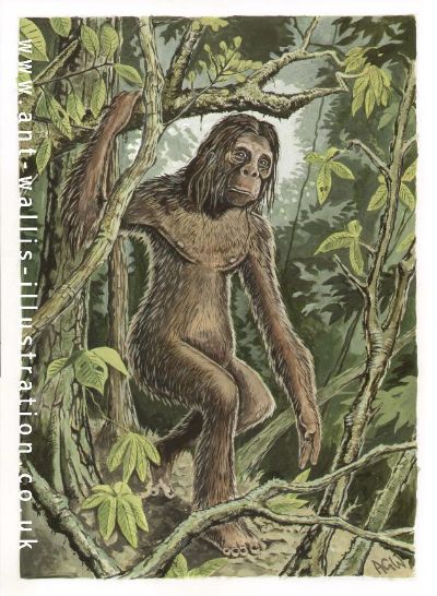 2013(?) Orang Pendek #4 Footprint cast replica #4