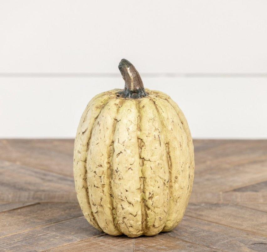 #3292MW Primitive 7.5 Inch Off White Tall Pumpkin