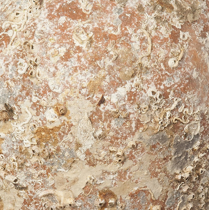 'Almagro' Ancient Sea Amphora
