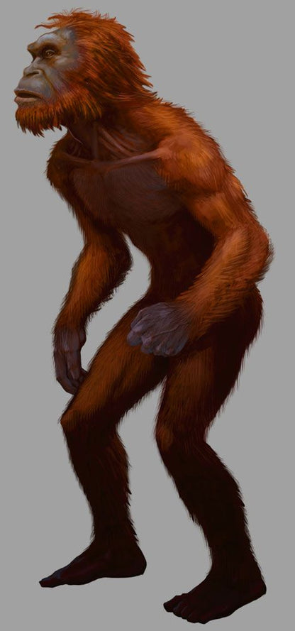 2013(?) Orang Pendek #4 Footprint cast replica #4